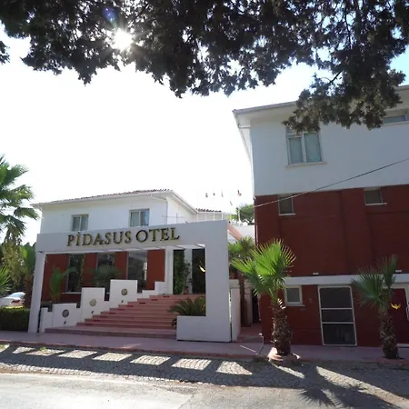 Otel Pidasus 3*