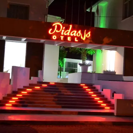 Pidasus 3*